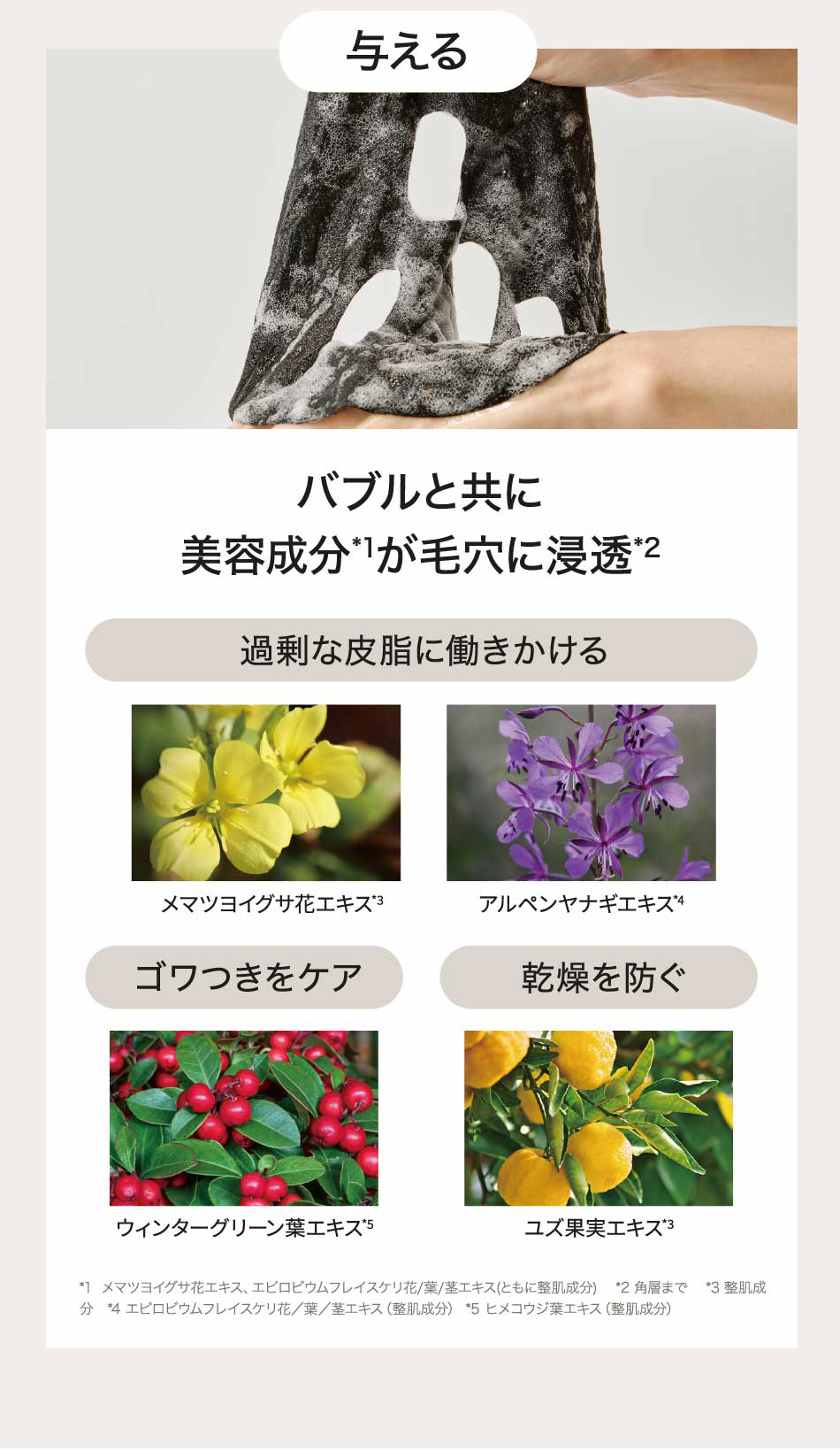 E〇2B Bio Purifiant　2B PUパック E〇2B Bio Purifiant 2B PUパック