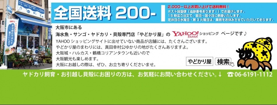海水魚・貝殻専門店 やどかり屋