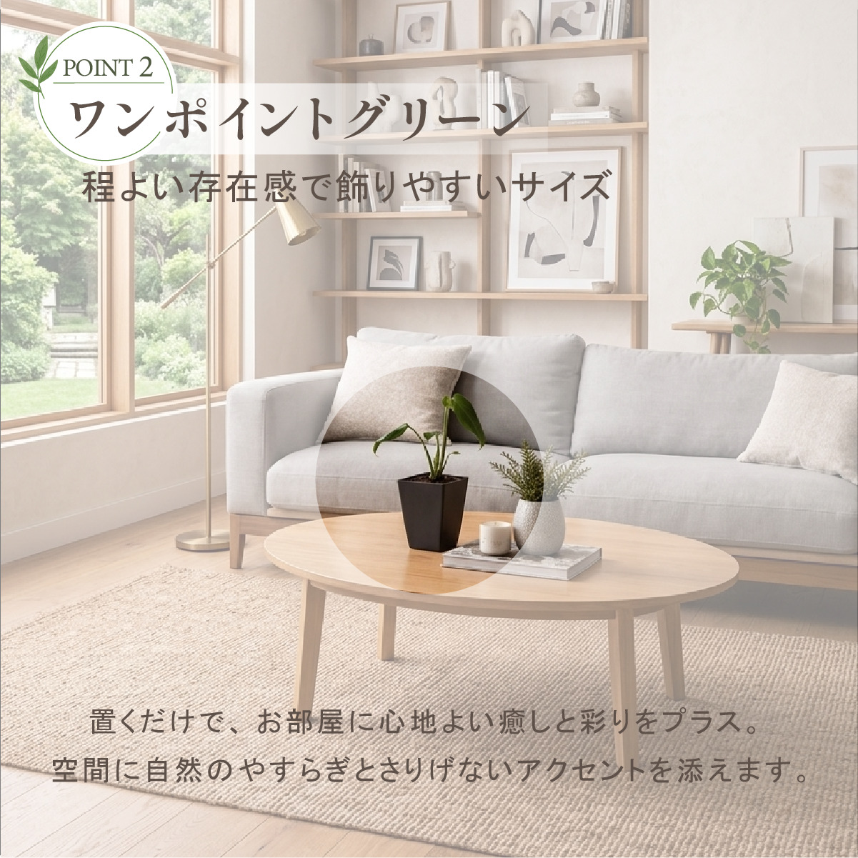モンステラ バールマルクスフレーム 4号ポット 鉢 Mサイズ 観葉植物