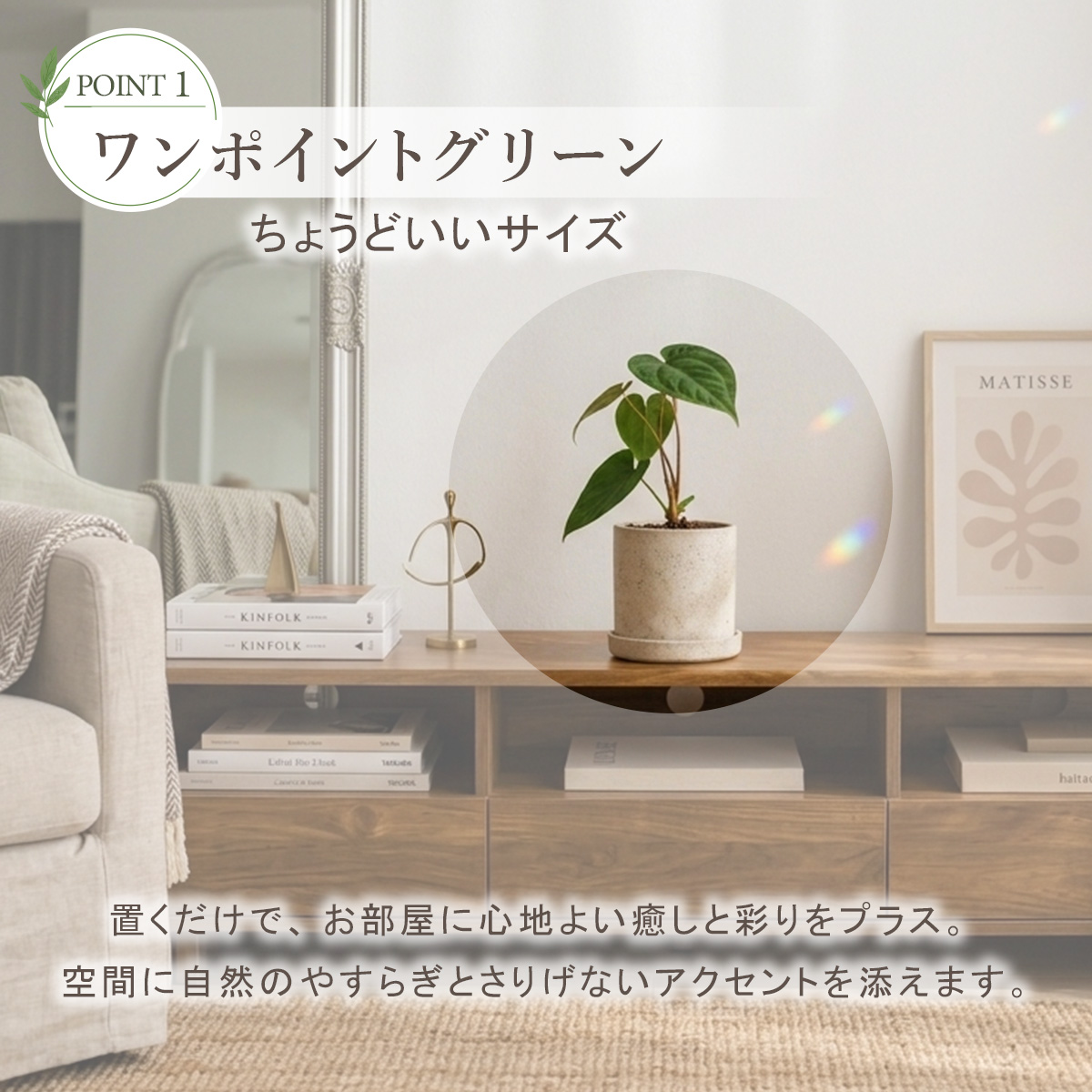 アンスリウム ルクスリアンス×エースオブスペードAOS 鉢 観葉植物 3号