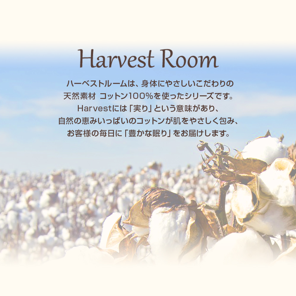 天竺ニット ピロケース Mサイズ 44×64cm 封筒型 枕カバー 綿100% 杢カラー HarvestRoom 肌に優しい ネコポス |  | 07