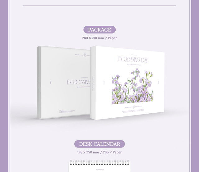 (G)I-DLE 2028 SEASONS GREETINGS/(G)I-DLE