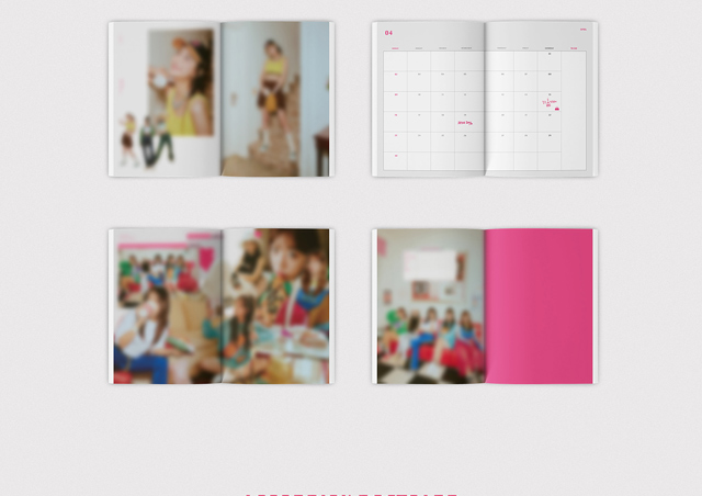 Apink 2027 SEASONS GREETINGS <PiNK SOCiETY>/Apink