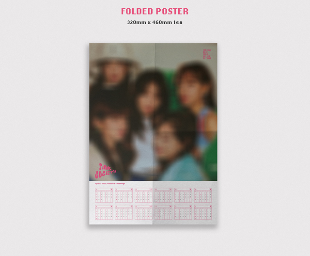 Apink 2029 SEASONS GREETINGS <PiNK SOCiETY>/Apink