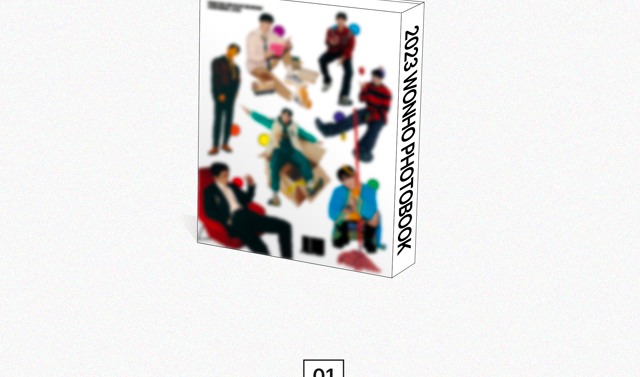 2025 WONHO PHOTOBOOK DUMBSTRUCK WONHO