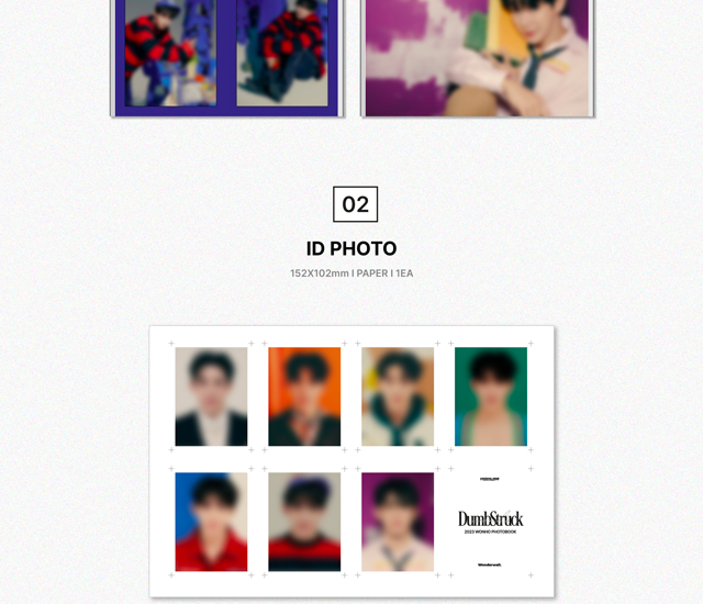 2028 WONHO PHOTOBOOK DUMBSTRUCK WONHO