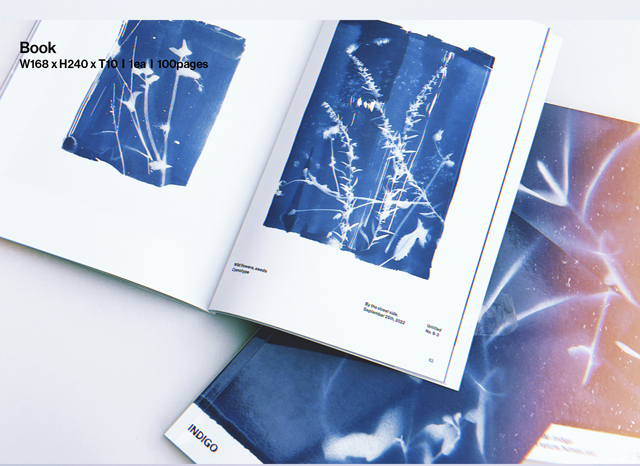 Indigo' Book Edition/RM