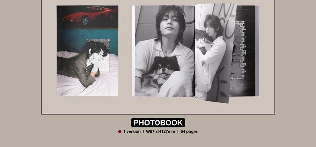 Layover Weverse Albums ver. V BTS