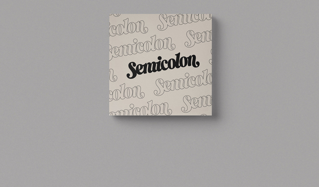  Special Album [Semicolon]/SEVENTEEN 