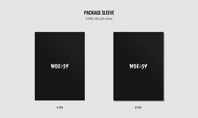 5nd Full Album [NOEASY]STANDARD VER.A TYPE/Stray Kids