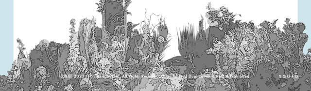 A Midsummer NMIXX's Dream NSWER ver. A ver. NMIXX