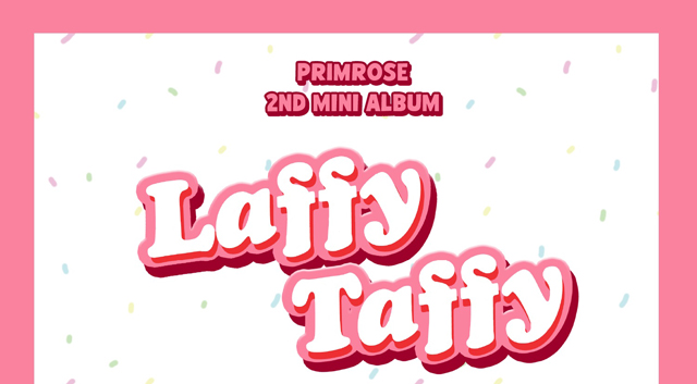 LAFFY TAFFY PRIMROSE