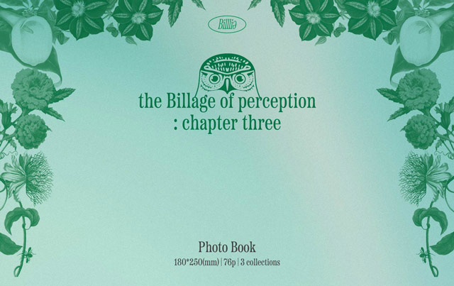 the Billage of perception: chapter three /Billlie