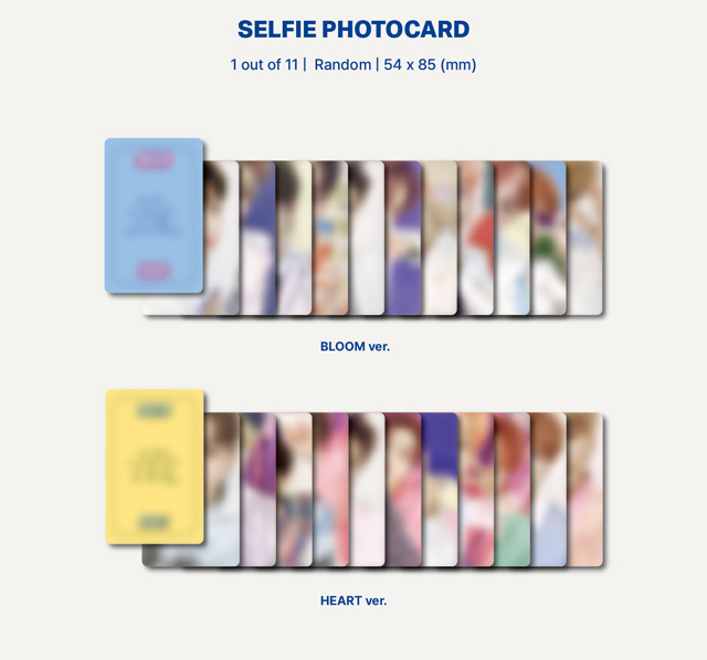 5nd Single Album Bloom Bloom Platform Ver THE BOYZ