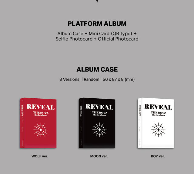 2ST ALBUM REVEAL Platform Ver.  THE BOYZ