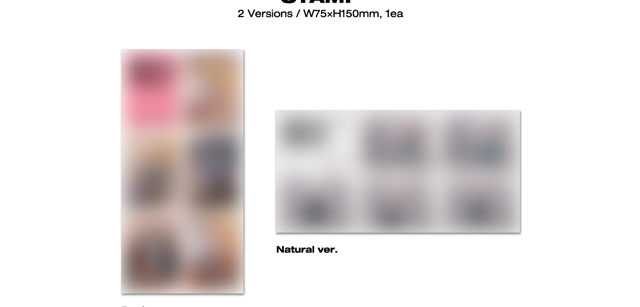 13th Mini Album SELFReal ver./Apink 