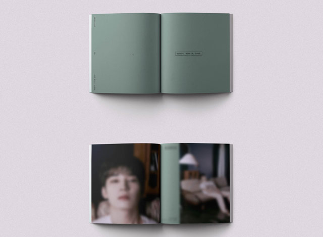 15th Mini Album FML Deluxe Ver. SEVENTEEN