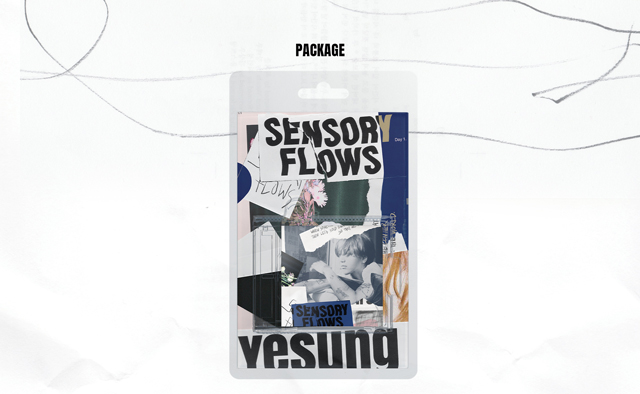 [Sensory Flows] (SMini Ver.)(SMART ALBUM)/YESUNG