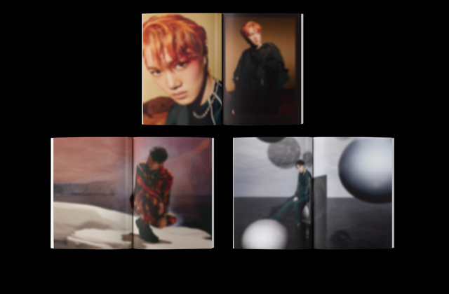 Special Album [DONT FIGHT THE FEELING] (Photo Book Ver.6)/EXO