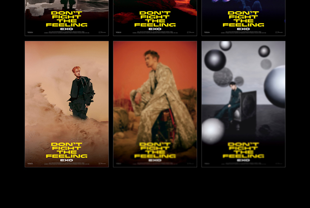 Special Album [DONT FIGHT THE FEELING] (Photo Book Ver.12)/EXO