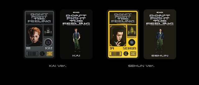 Special Album  DONT FIGHT THE FEELING  (Expansion Ver.) XIUMIN Ver./EXO