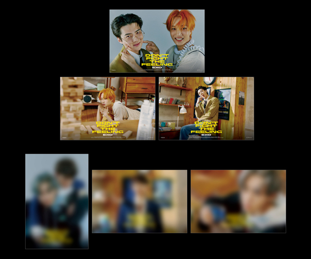 Special Album  DONT FIGHT THE FEELING  (Expansion Ver.) XIUMIN Ver./EXO