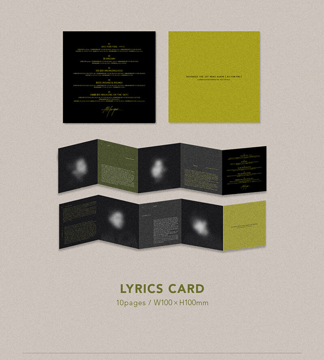 4ST MINI ALBUM 「ALL FOR YOU」YOU VER.／SECHSKIES（ジェクスキス）