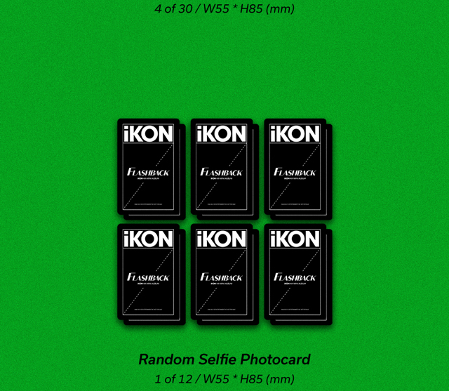 iKON 12th MINI ALBUM [FLASHBACK] (PHOTOBOOK ver.) [Green ver.]/iKON