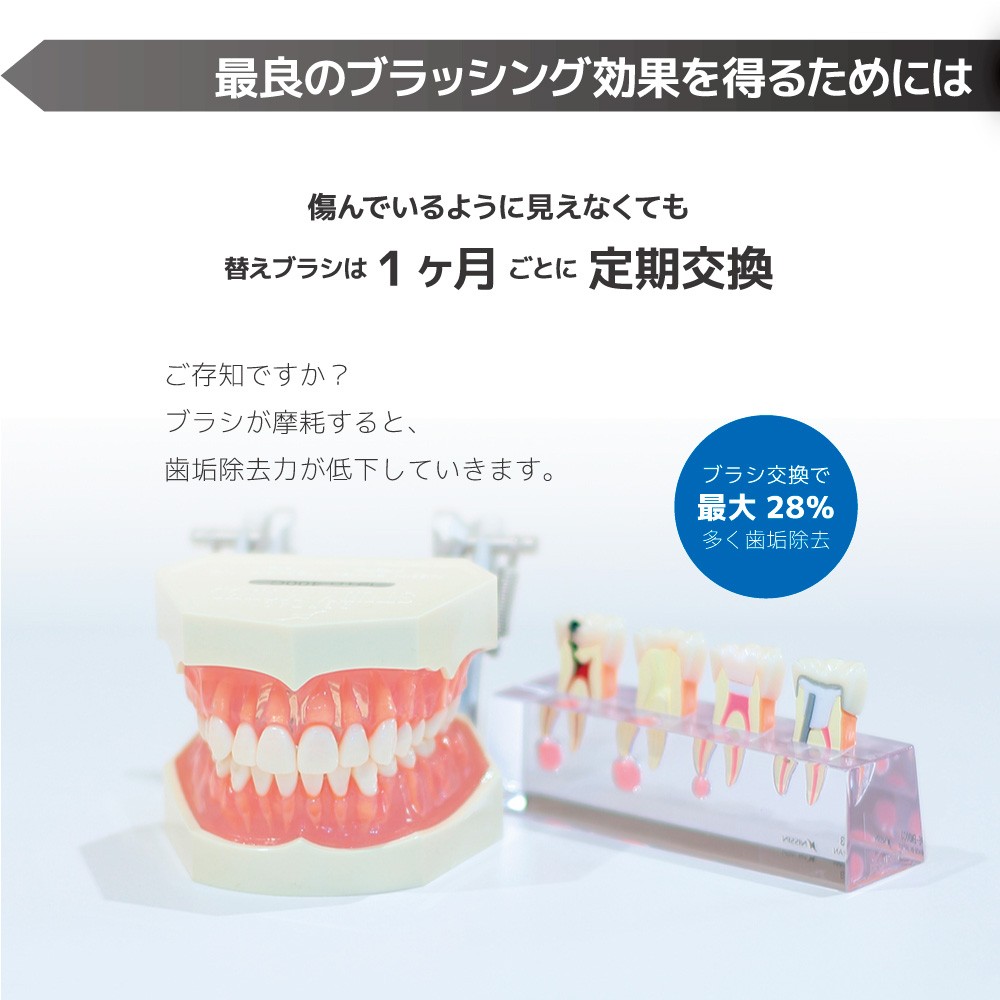 ソニッケアー フィリップス 電動歯ブラシ対応 互換替え ブラシヘッド