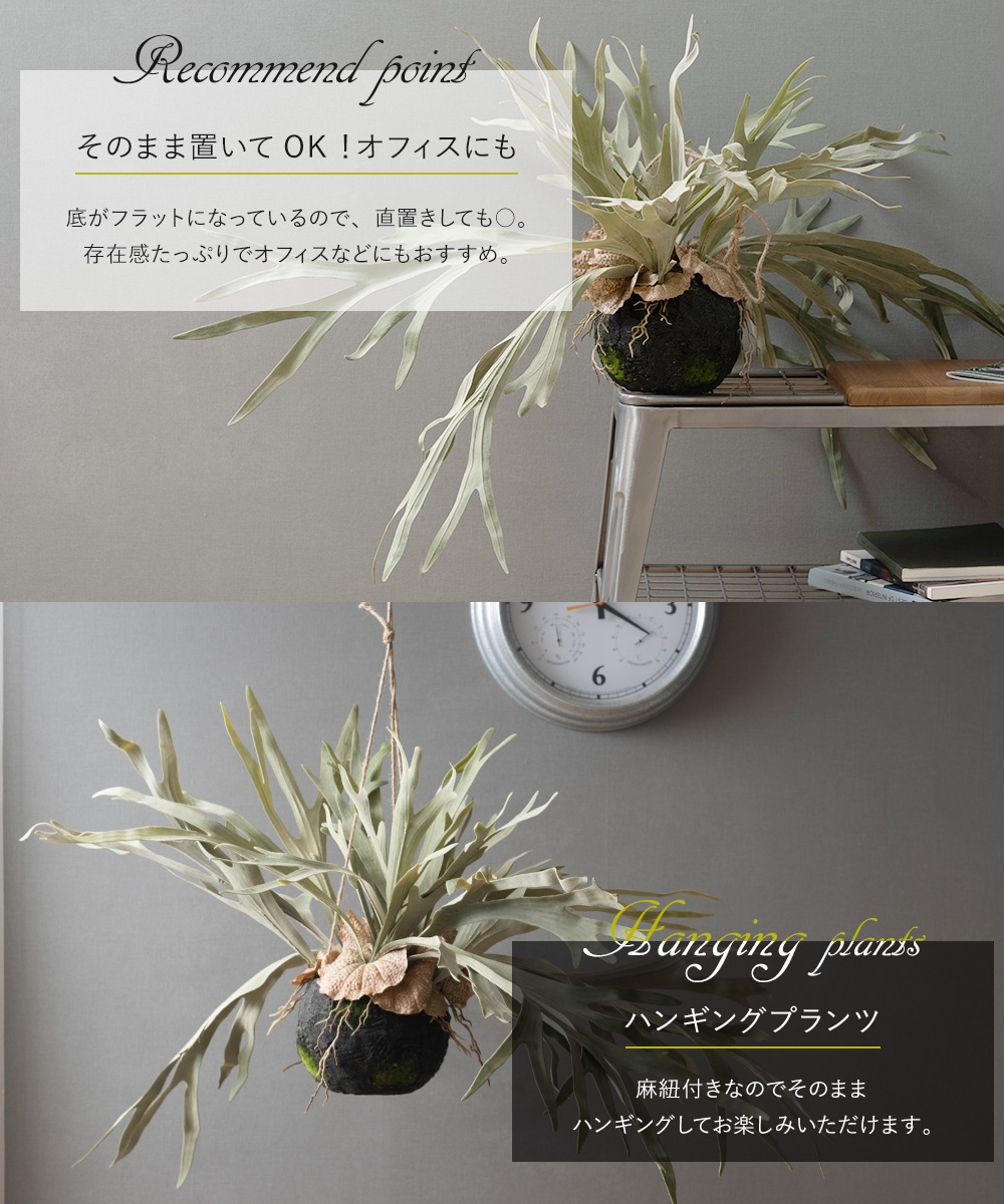 2024人気No.1の コウモリラン 壁掛け ビカクシダ 人工 観葉植物 フェイク リアル ビカクシダ