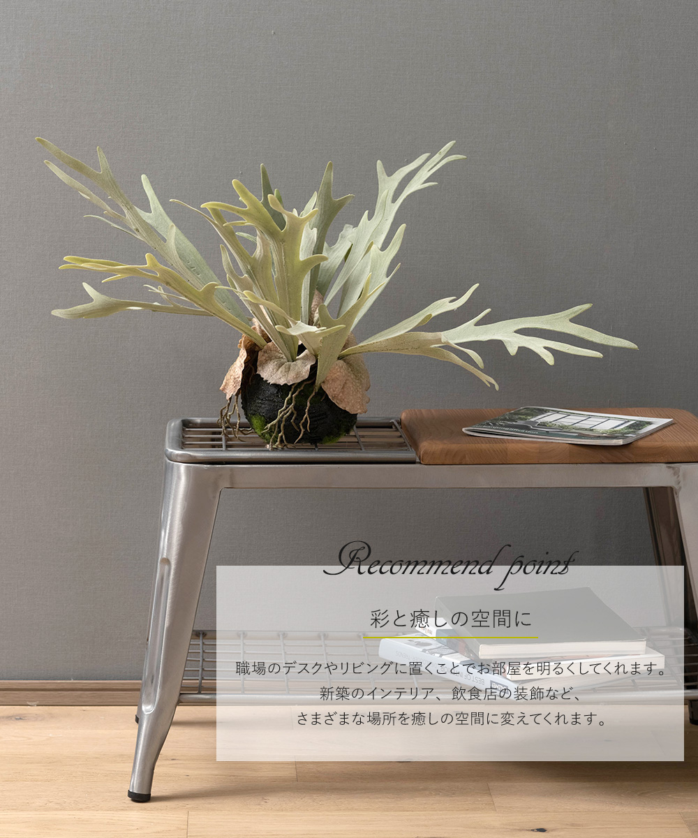 コウモリラン 壁掛け ビカクシダ 人工 観葉植物 フェイク リアル コウモリラン 壁掛け ビカクシダ 人工 観葉植物 フェイク リアル