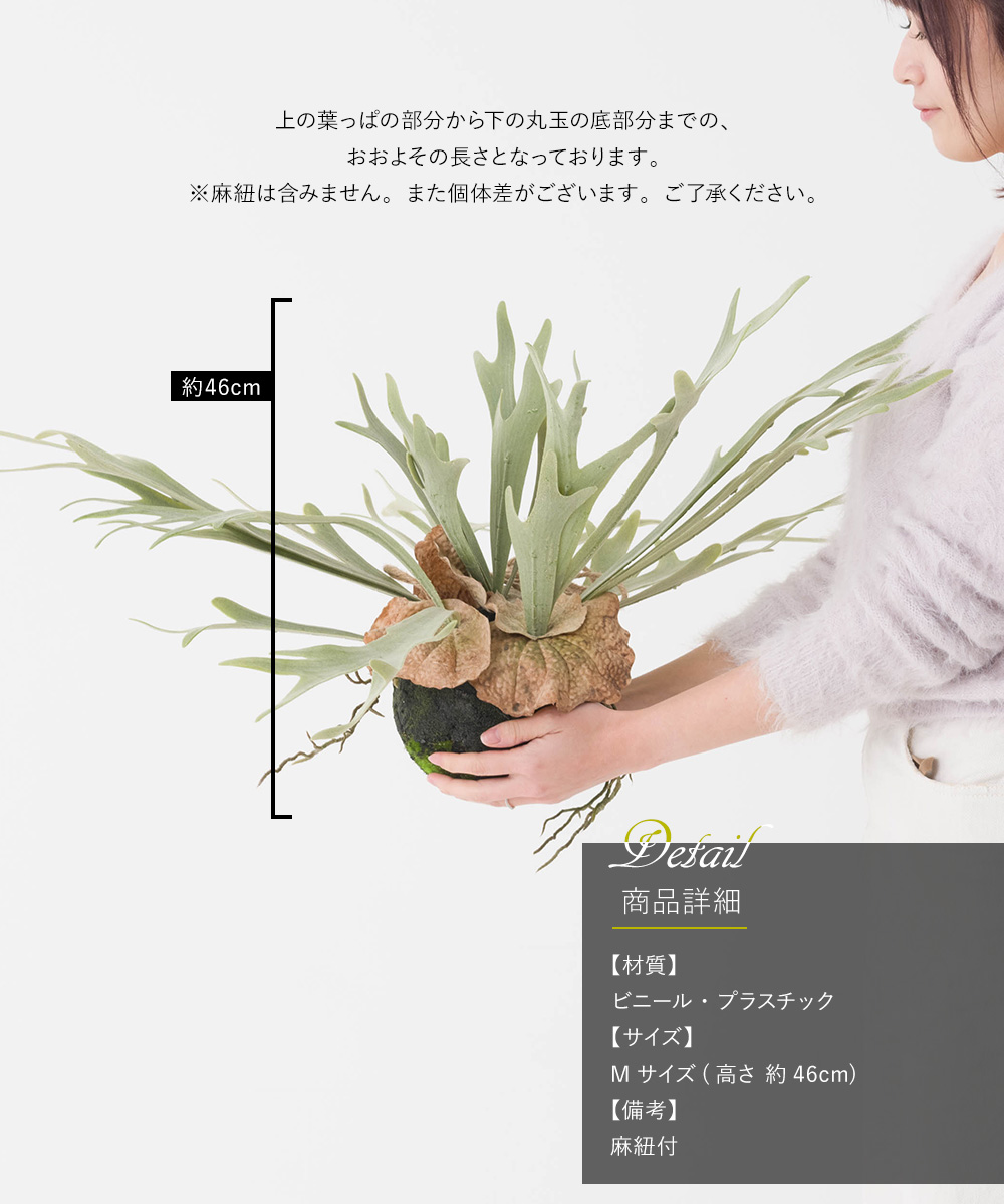コウモリラン 壁掛け ビカクシダ 人工 観葉植物 フェイク リアル コウモリラン 壁掛け ビカクシダ 人工 観葉植物 フェイク リアル