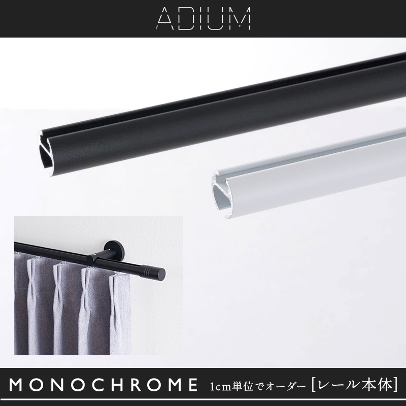 カーテンレール おしゃれ アイアンレール ADIUM 専用 部品 レール 単品 プレミアム モノクローム用 251〜300cm