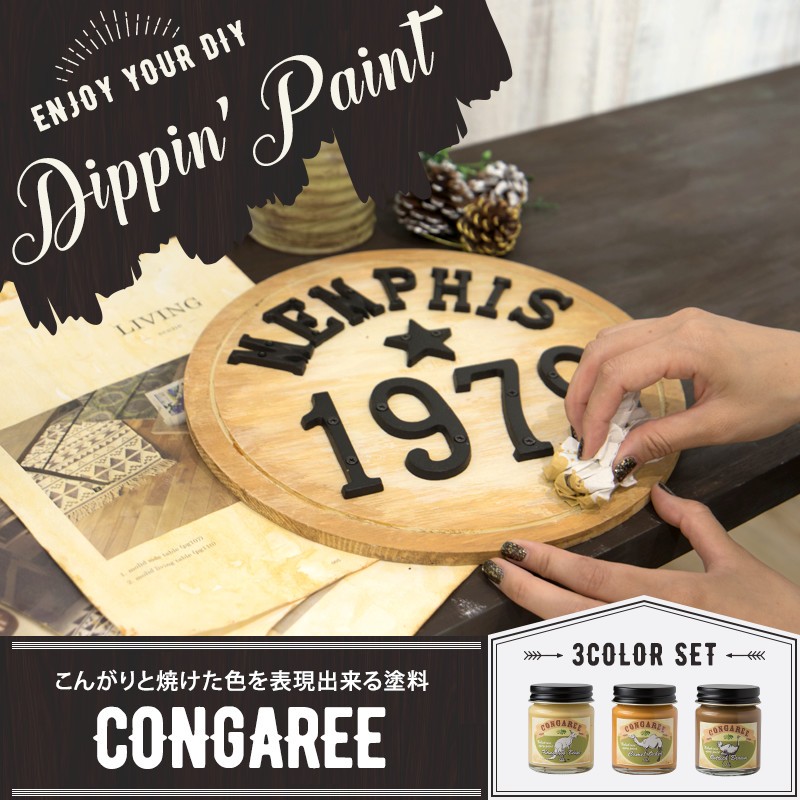 ペンキ 塗料 塗装 水性 アクリル塗料 コンガリー CONGAREE 50g×3色