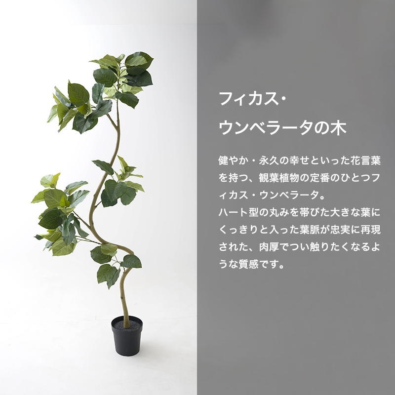 フェイクグリーン 観葉植物 オフィス 事務所 店舗 クリニック 開店祝い