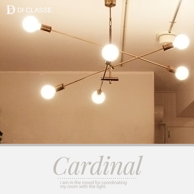 DI CLASSE ペンダントランプ Cardinal カーディナル