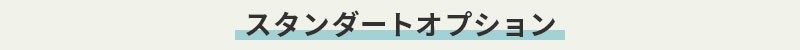 スタンダードオプション