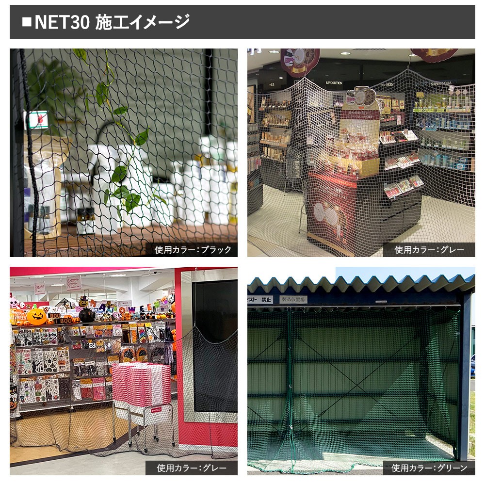 net30_03.jpg