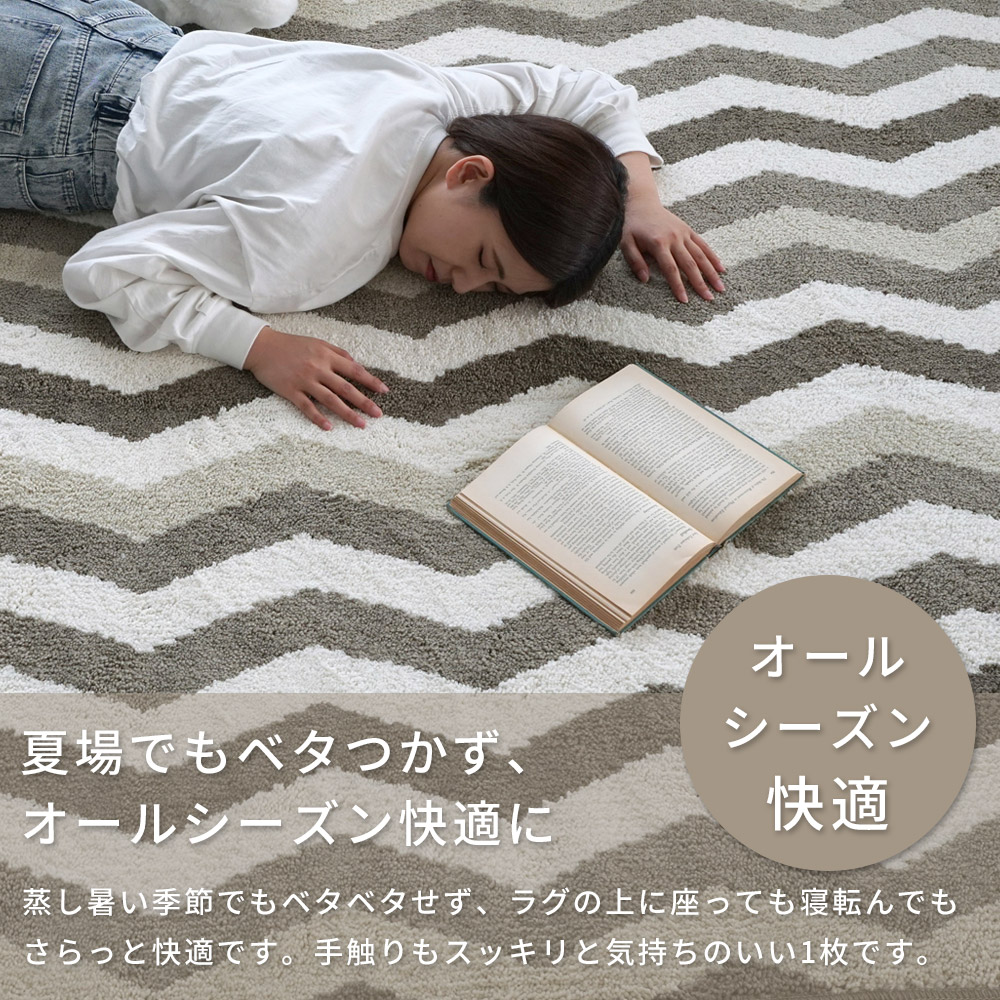 スミノエ ラグ カーペット ラグマット 洗える 抗菌 防臭 防ダニ