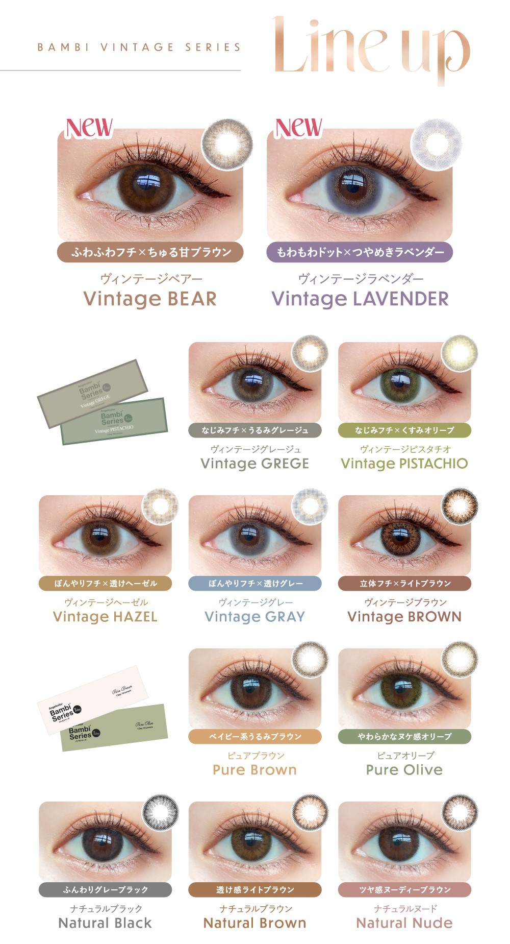 Angelcolor エンジェルカラーワンデー バンビシリーズ