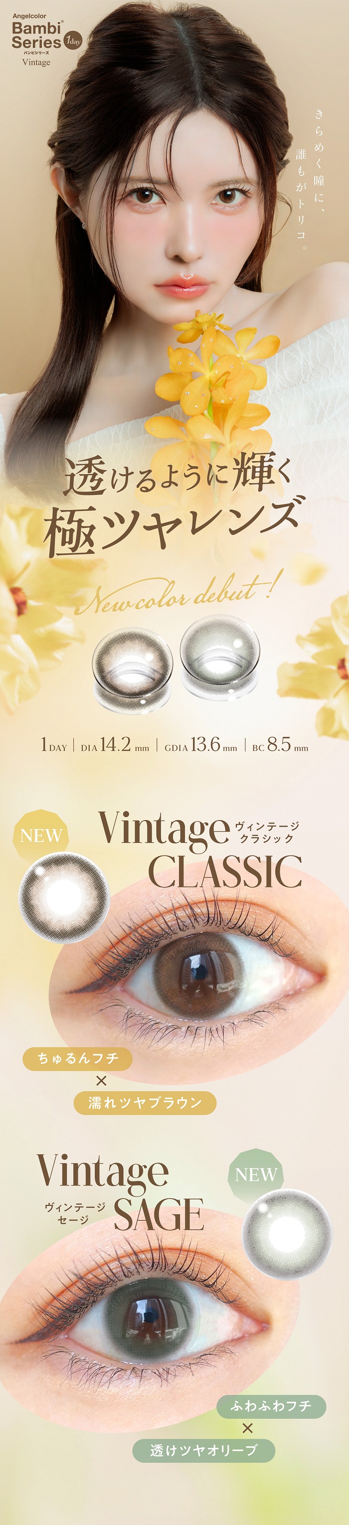 Angelcolor（エンジェルカラー） エンジェルカラーワンデー バンビ