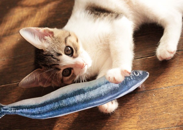 猫 おもちゃ ネコ リアルな魚の形がファニーで可愛い猫の