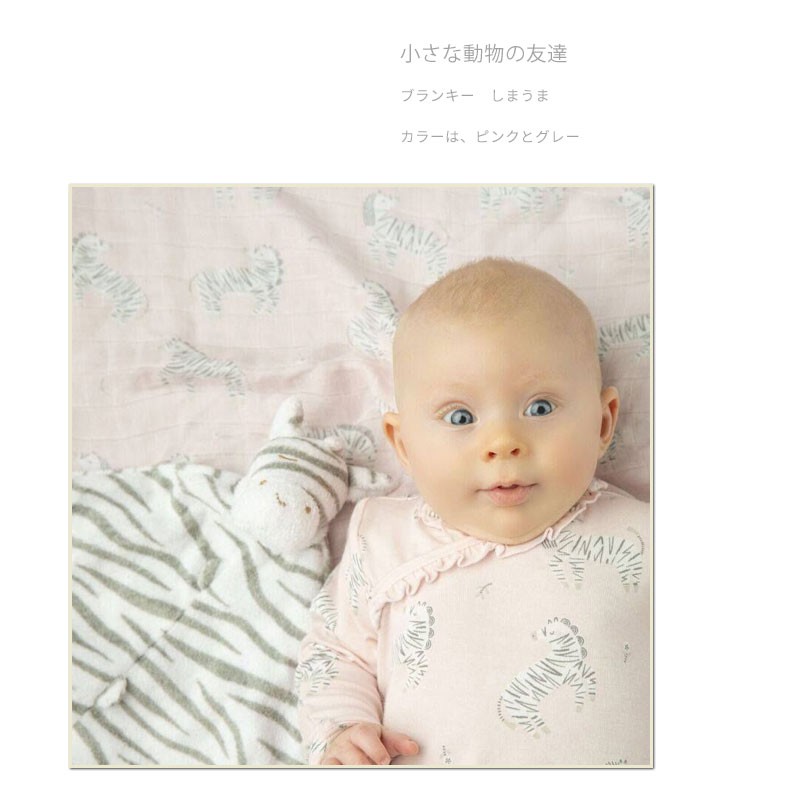 GIGO限定 たべっ子どうぶつタンブラー&ミニタオル オレンジ