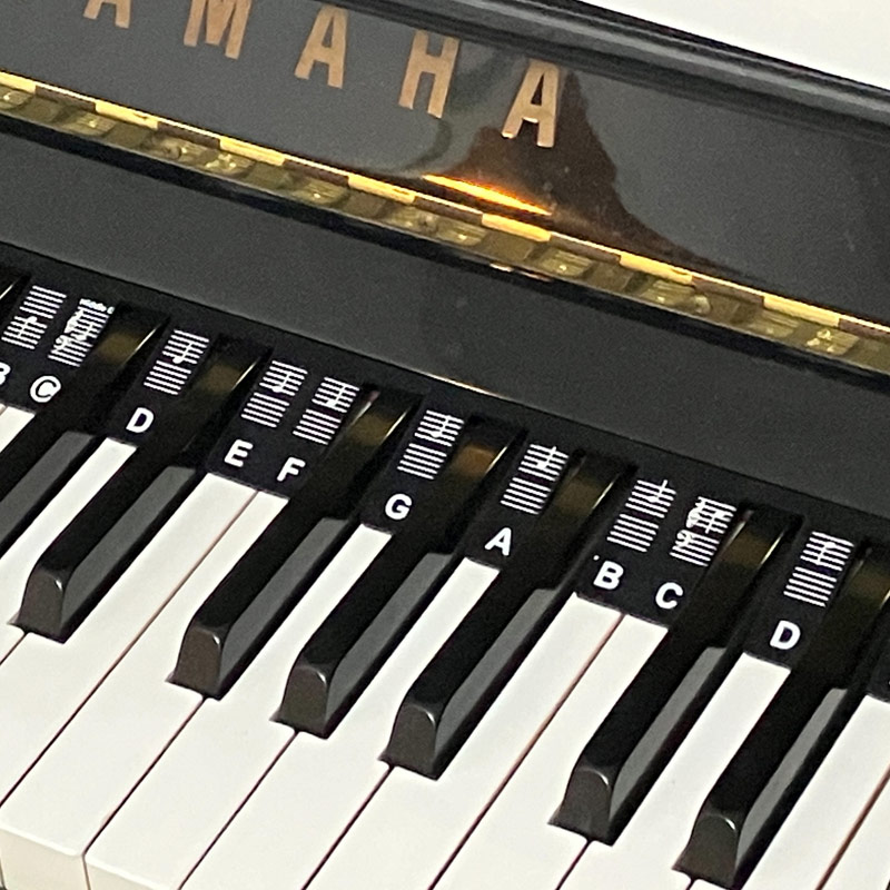 鍵盤楽器 abc ピアノ 鍵盤 シート シリコンシート 88鍵 鍵盤シール 練習用 初心者用