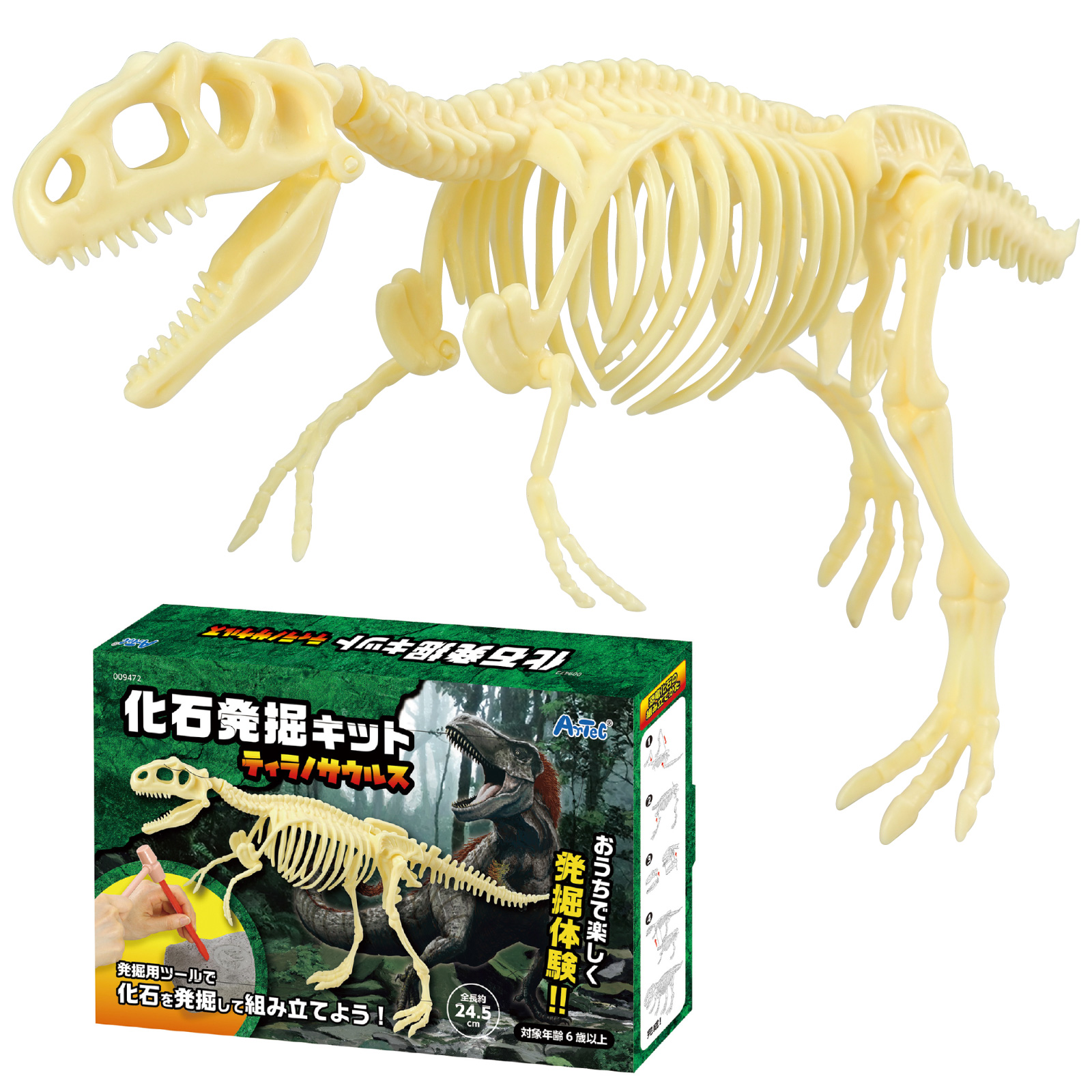 ユニバーサル・スタジオ 恐竜の化石3個セット ユニバーサル・スタジオ 恐竜の化石3個セット USJにはコーラの化石も