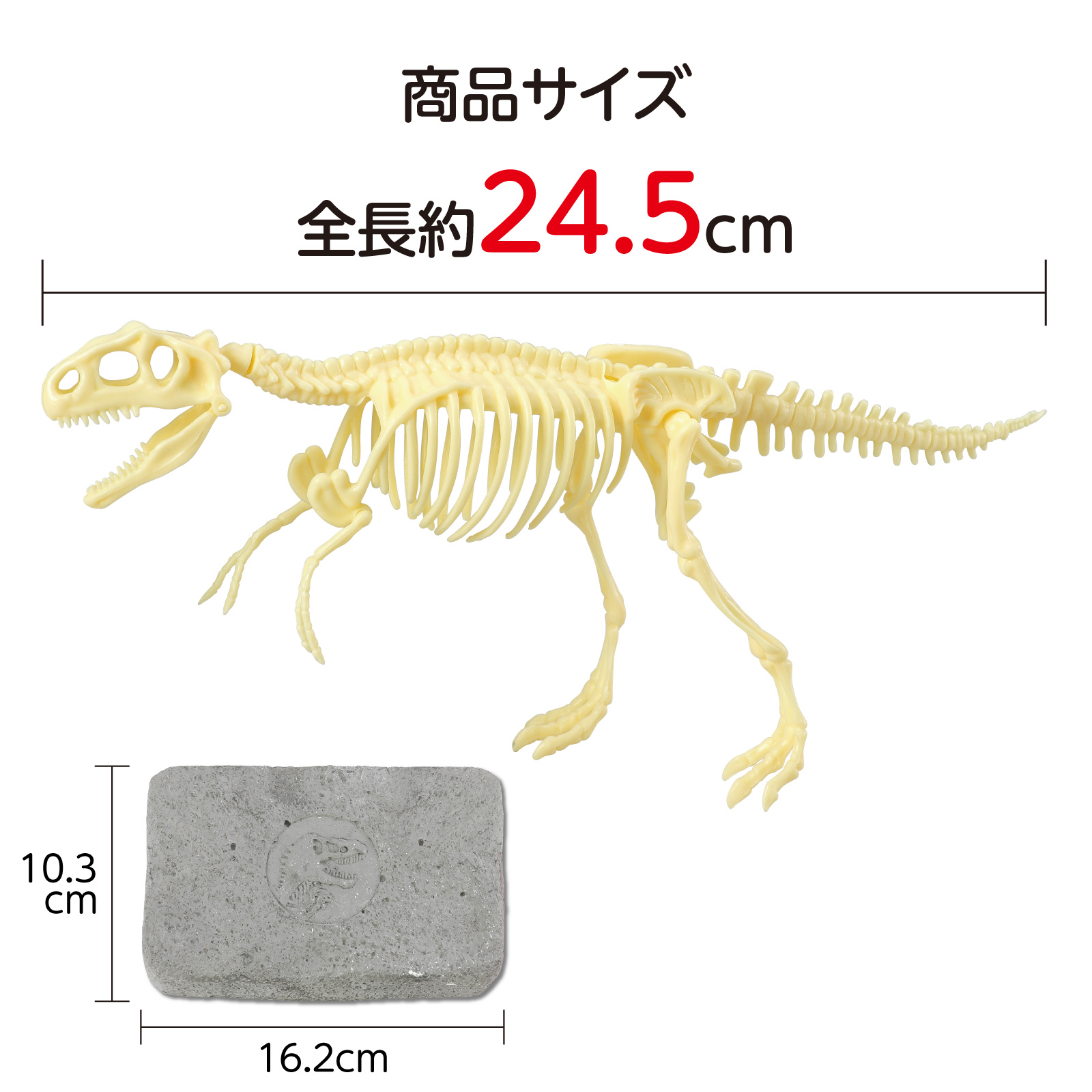 恐竜 グッズ 化石 発掘キット 学習 おもちゃ アーテック Artec