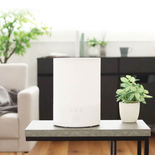 超音波加湿器 次亜塩素酸対応 噴霧器 バイバイ菌 | 