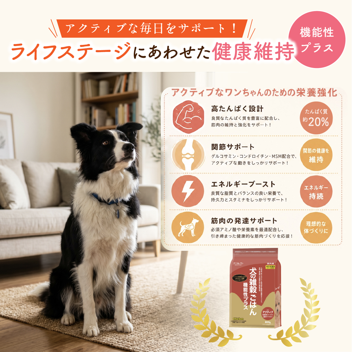 アニマルワン 犬の雑穀ごはん 機能性プラス 800g 選べる3個セット (3袋セット) アニマル・ワン ドッグフード ドライ チキン 成犬 シニア犬 全年齢 | アニマル・ワン | 06