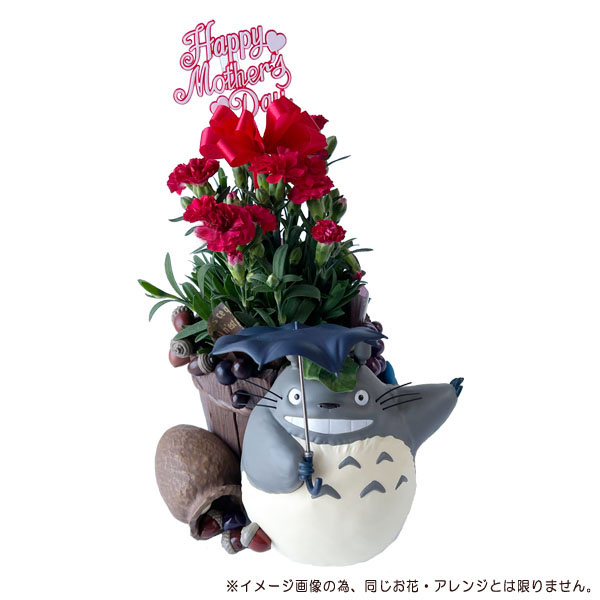 スタジオジブリ 予約商品 となりのトトロ どすーん！びっくり！ 母の日