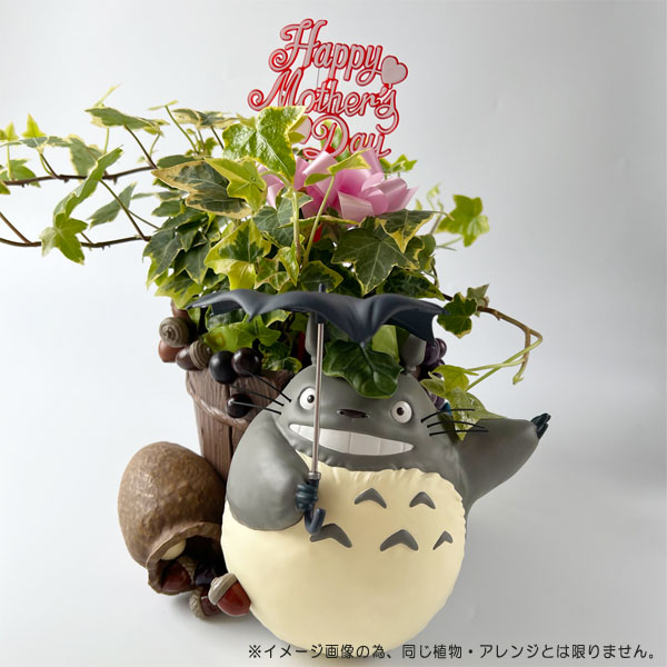 スタジオジブリ 予約商品 となりのトトロ どすーん！びっくり！ 母の日